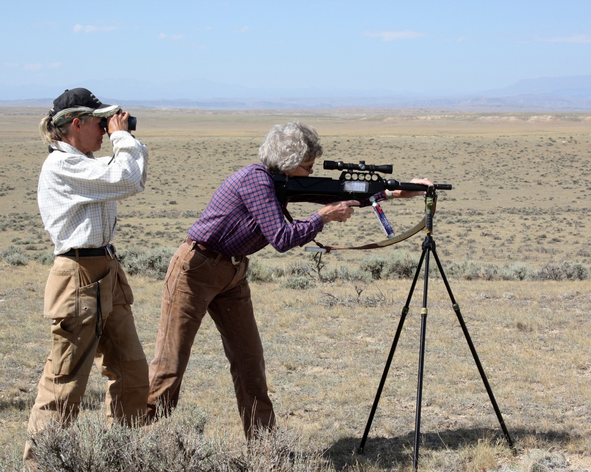 Volunteer uses dart gun to shoot fertility control dart.