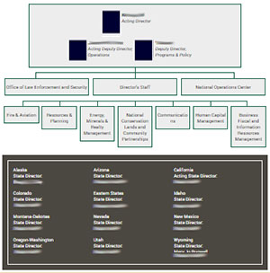 BLM Organization Chart