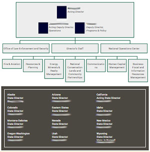 Doi Organization Chart