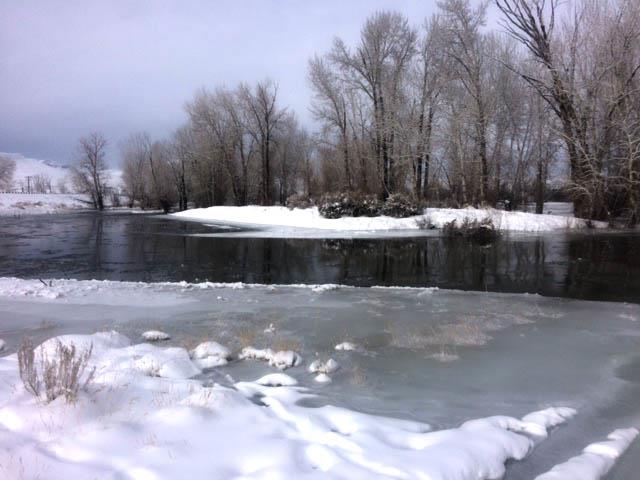 Ice Along the Salmon River at Challis Bridge Recreation Site