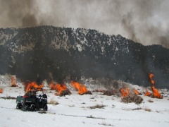 pile burning