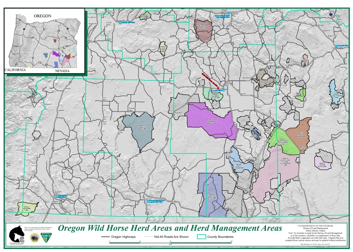 Oregon Washington Herd Management Areas Bureau Of Land Management