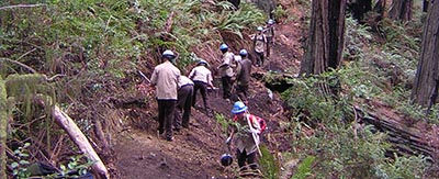 California Conservation Corps members doing trailwork on the Little South Fork Elk River Trail at the Headwaters Forest Reserve. Photo by BLM