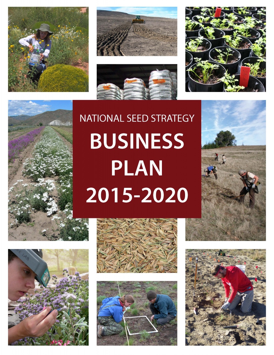 image of cover to the national seed strategy business plan