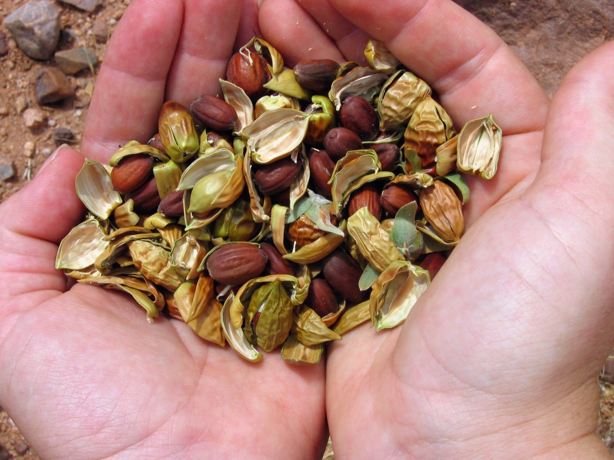 Collection BUREAU OF LAND MANAGEMENT