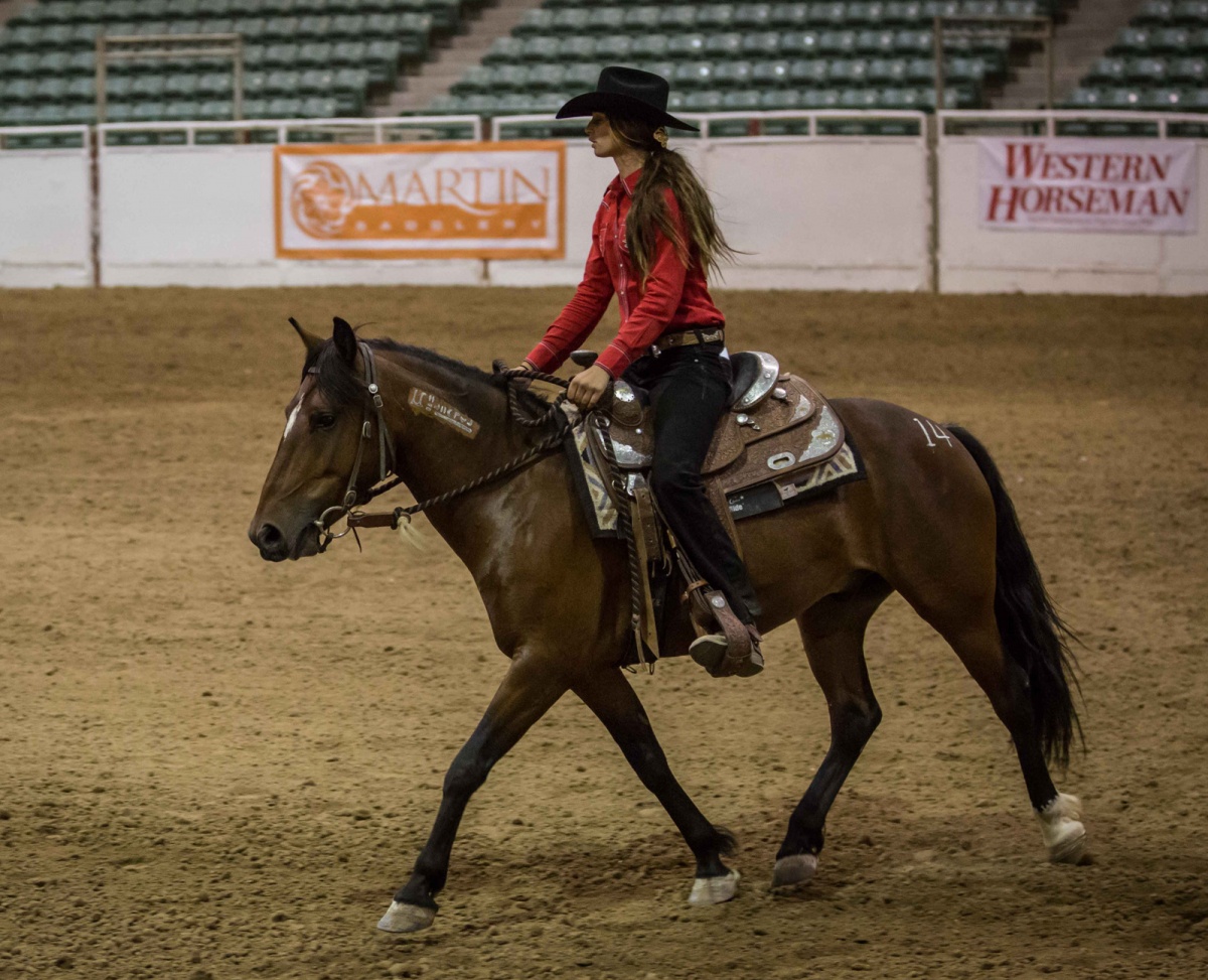 Woman on mustang in arena. 