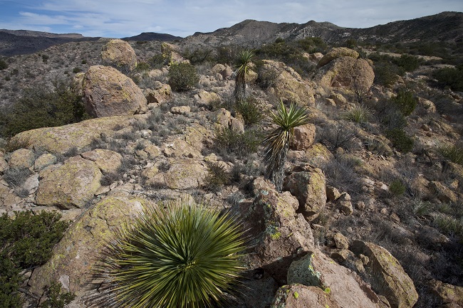 A view of Baker Canyon Wilderness Study Area in Arizona. Photo by Bob Wick.