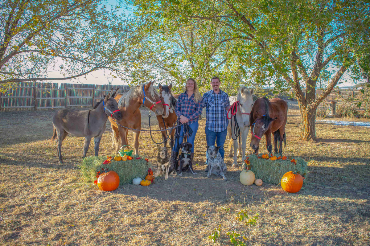Man and woman stand with four horses, a donkey and three dogs in pumpkin patch