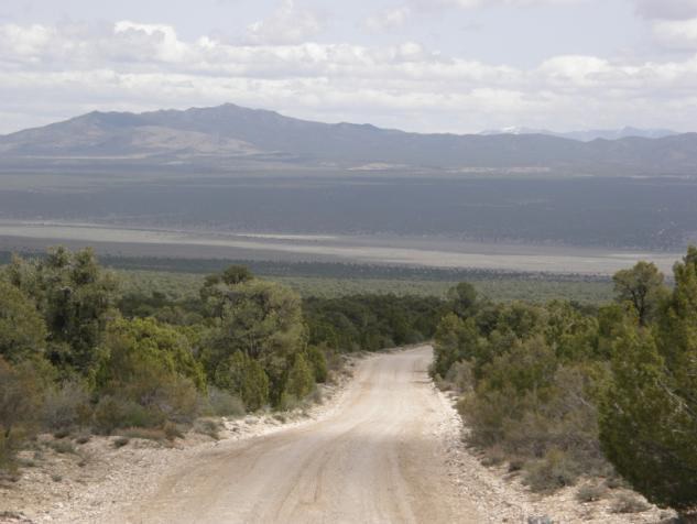 A road on the range. 