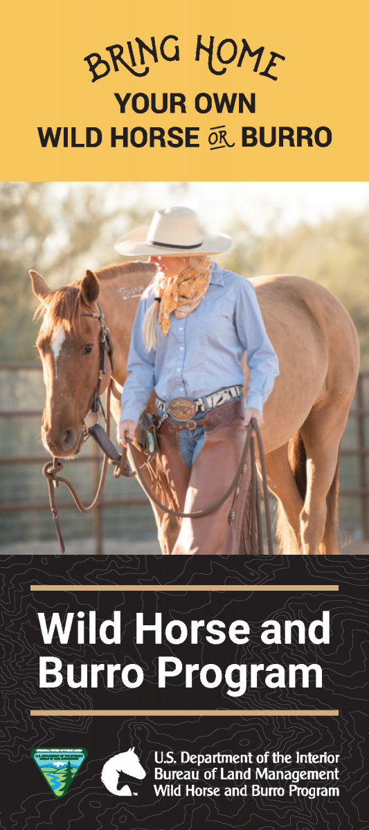 The cover of adoption and purchase brochure with a woman and her mustang