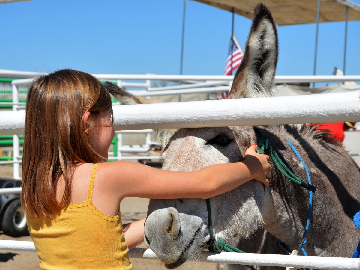 Adoption and Sales BUREAU OF LAND MANAGEMENT
