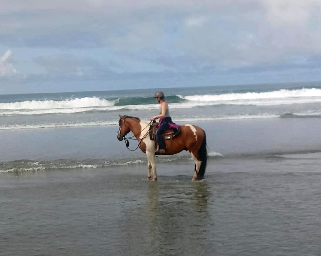 Rider on a horse on the beach. 