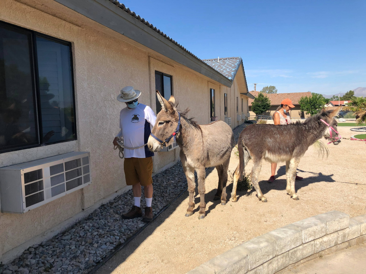 People with burros outside a facility. 