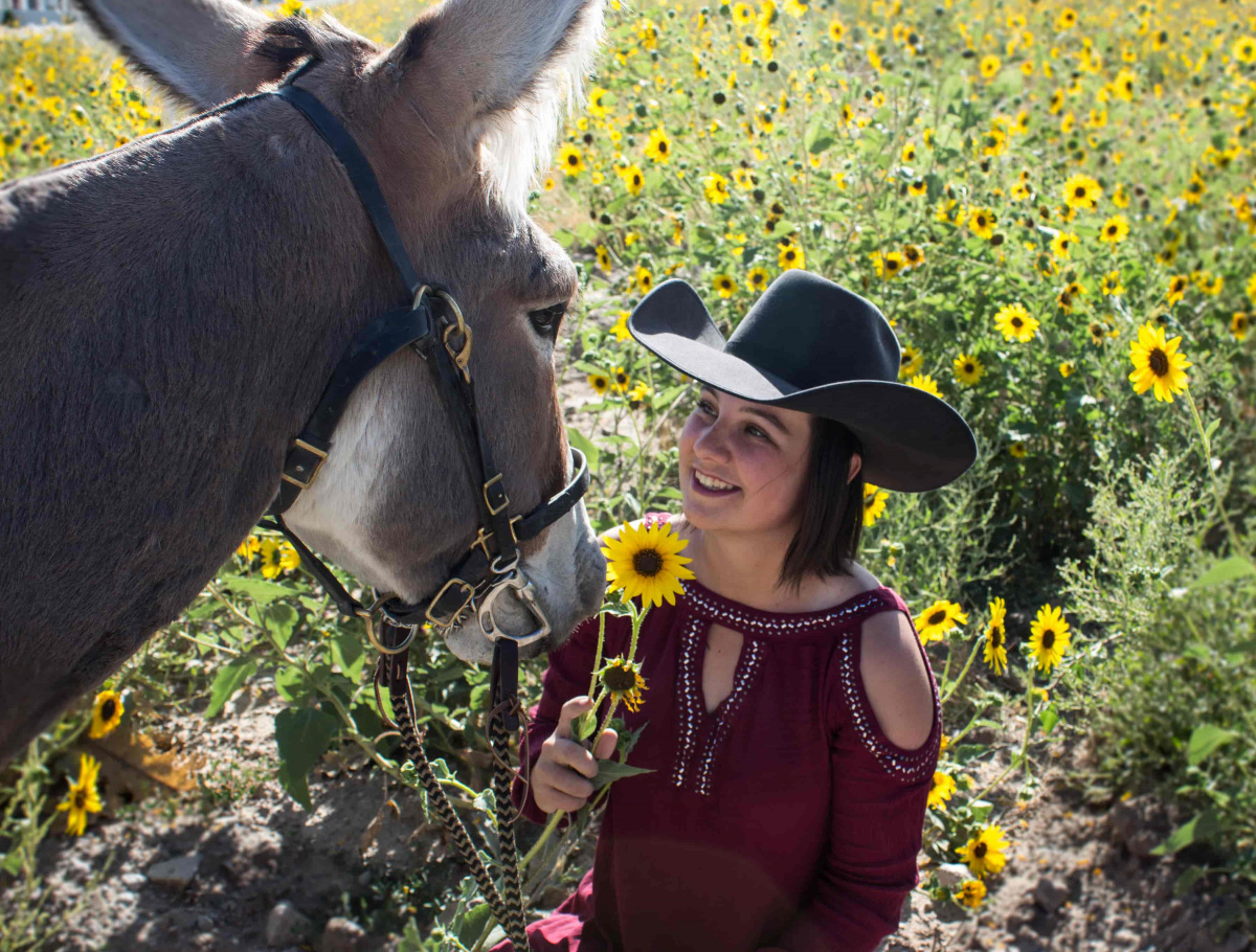 Woman with burro in field.