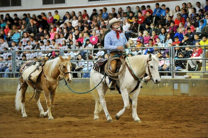 Two horses, one with a rider, in an arena. 
