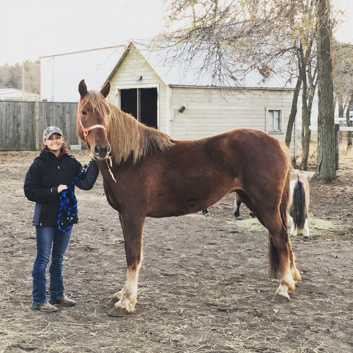 Woman standing with horse. 