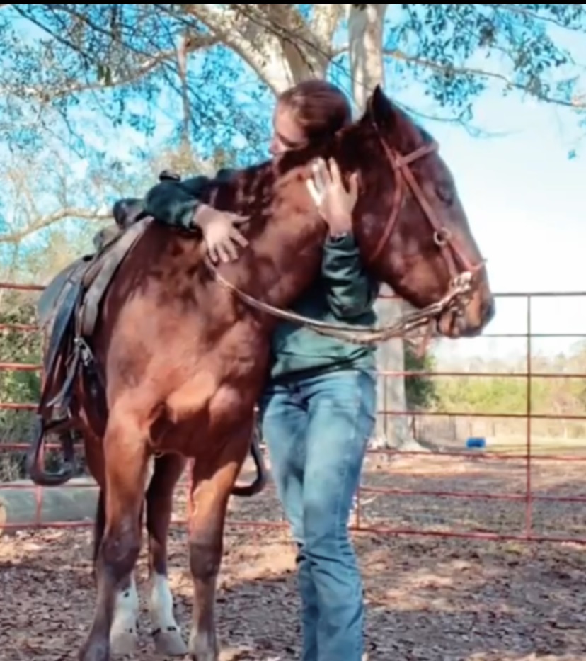 Girl hugging horse. 