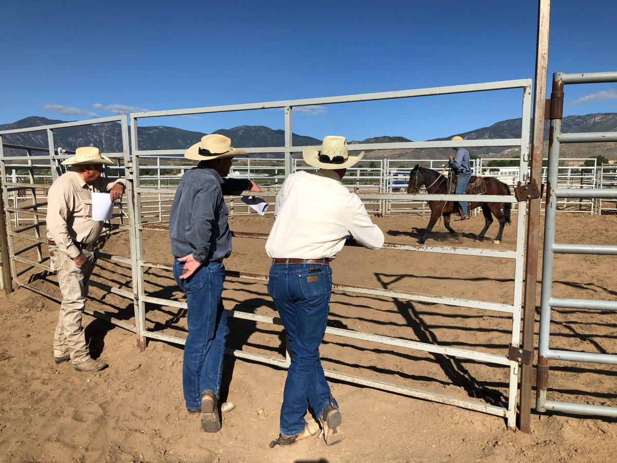 Three people lean up against horse panels to look at a horse in a pen. 