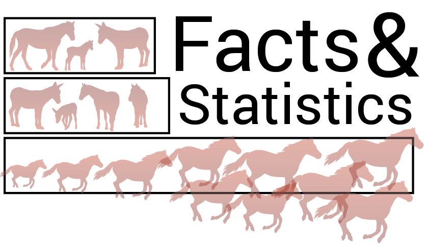 Image for Data and Statistics Page