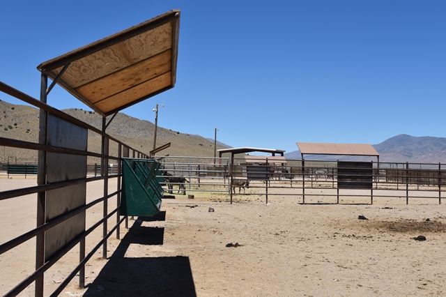 New 8x4 ft. plywood shade structures recently installed at PVC.