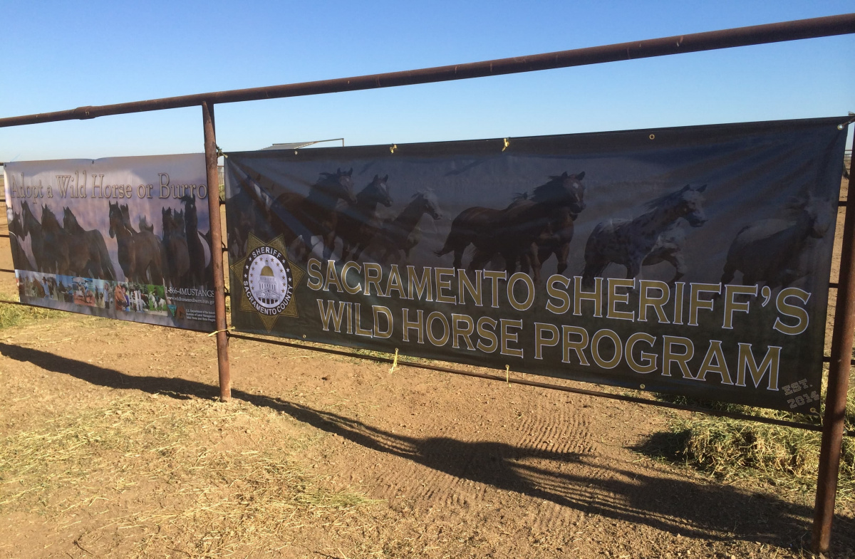A banner for the Sacramento Sheriff's Wild Horse program. 