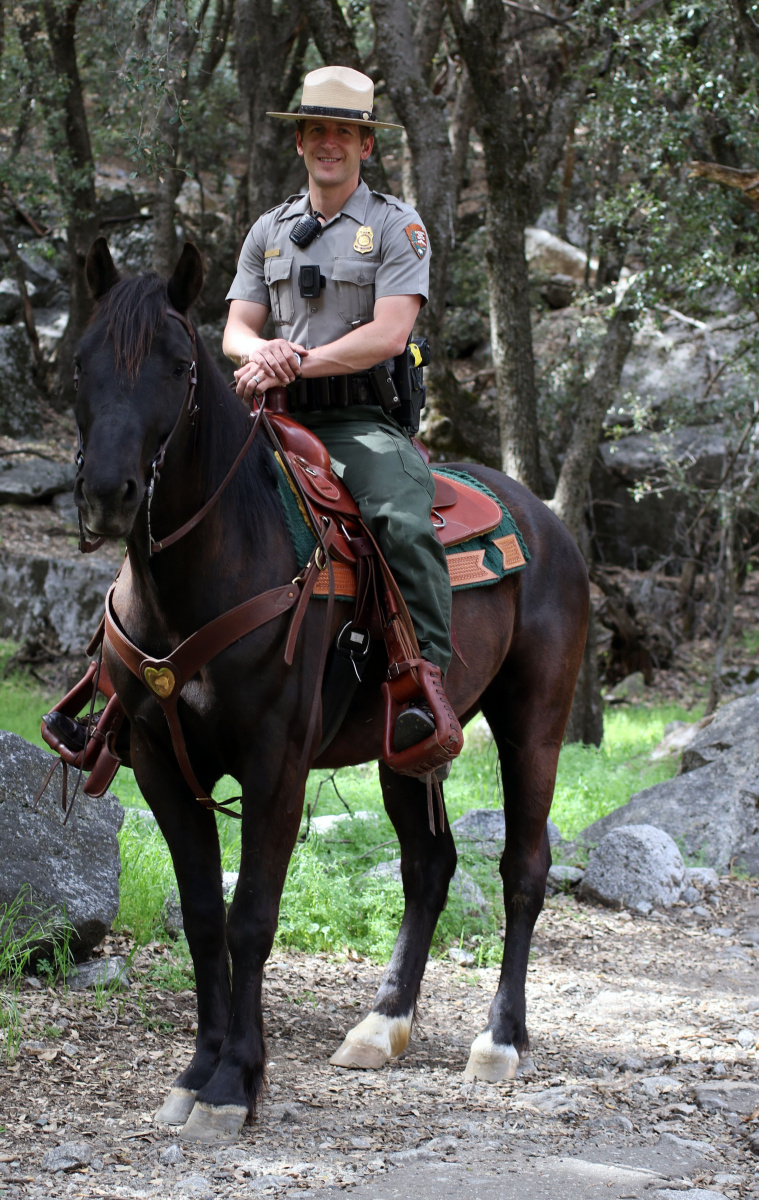 Ranger Justin Fey on mustang in Yosemite National Park. 