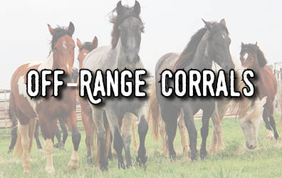 A group of horses in a pen with the words "Off-range Corrals"