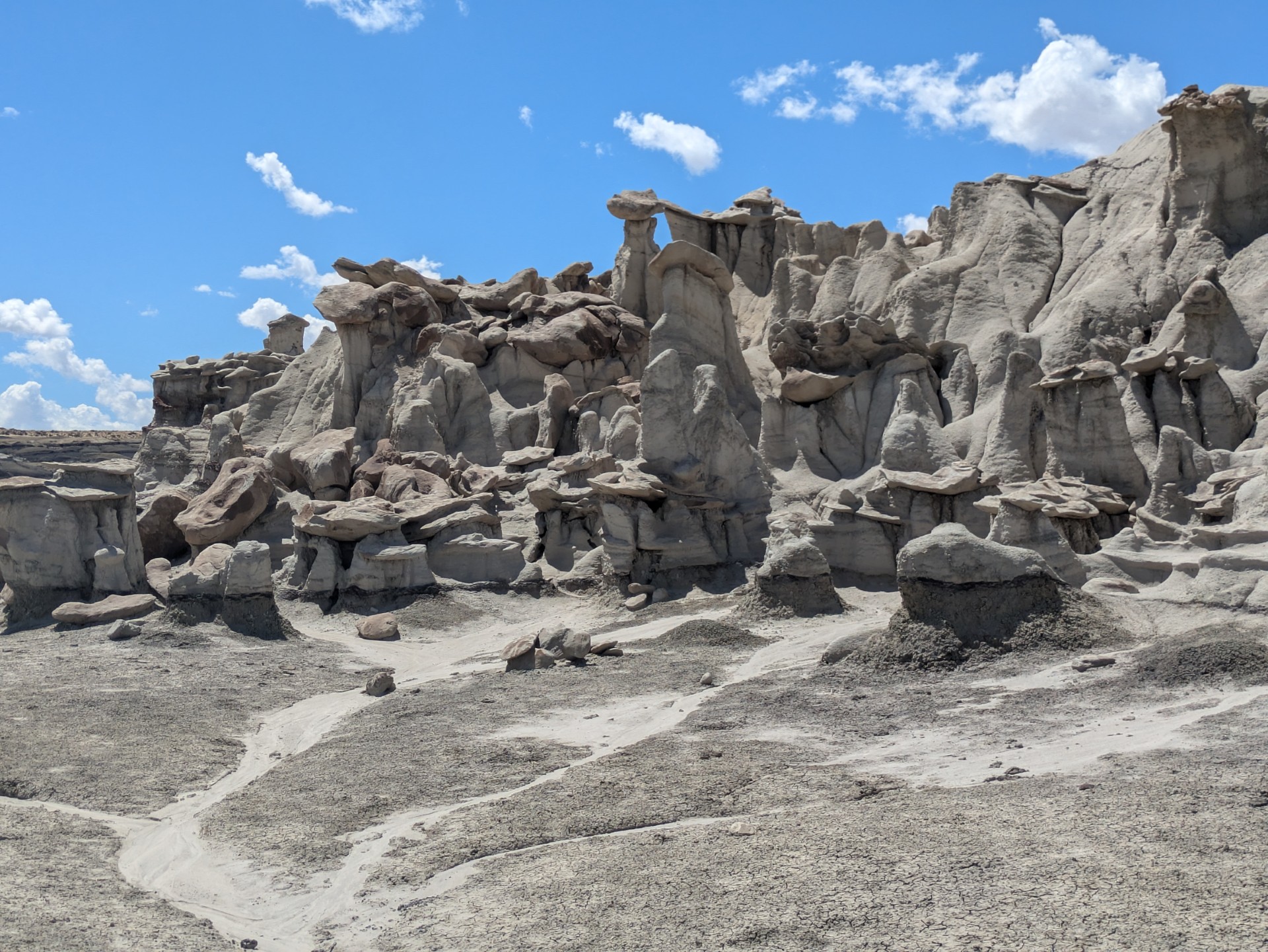Bisti Badlands Map