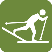 Iconograph of a person on cross country skis