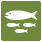 Iconograph of one large and three smaller fish