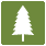 Iconograph of an evergreen tree