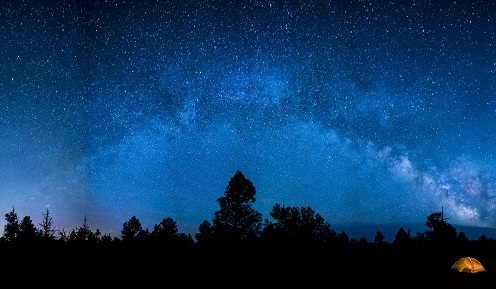Oregon Badlands Wilderness at night showing star filled sky above silhouetted trees
