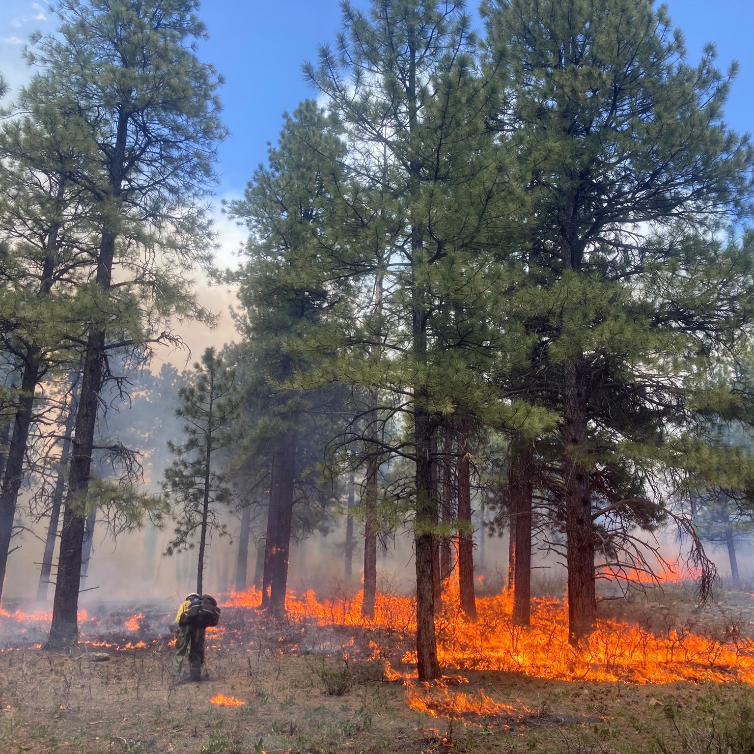 Bipartisan Infrastructure Law - Animas City Mountain Rx burn episode artwork