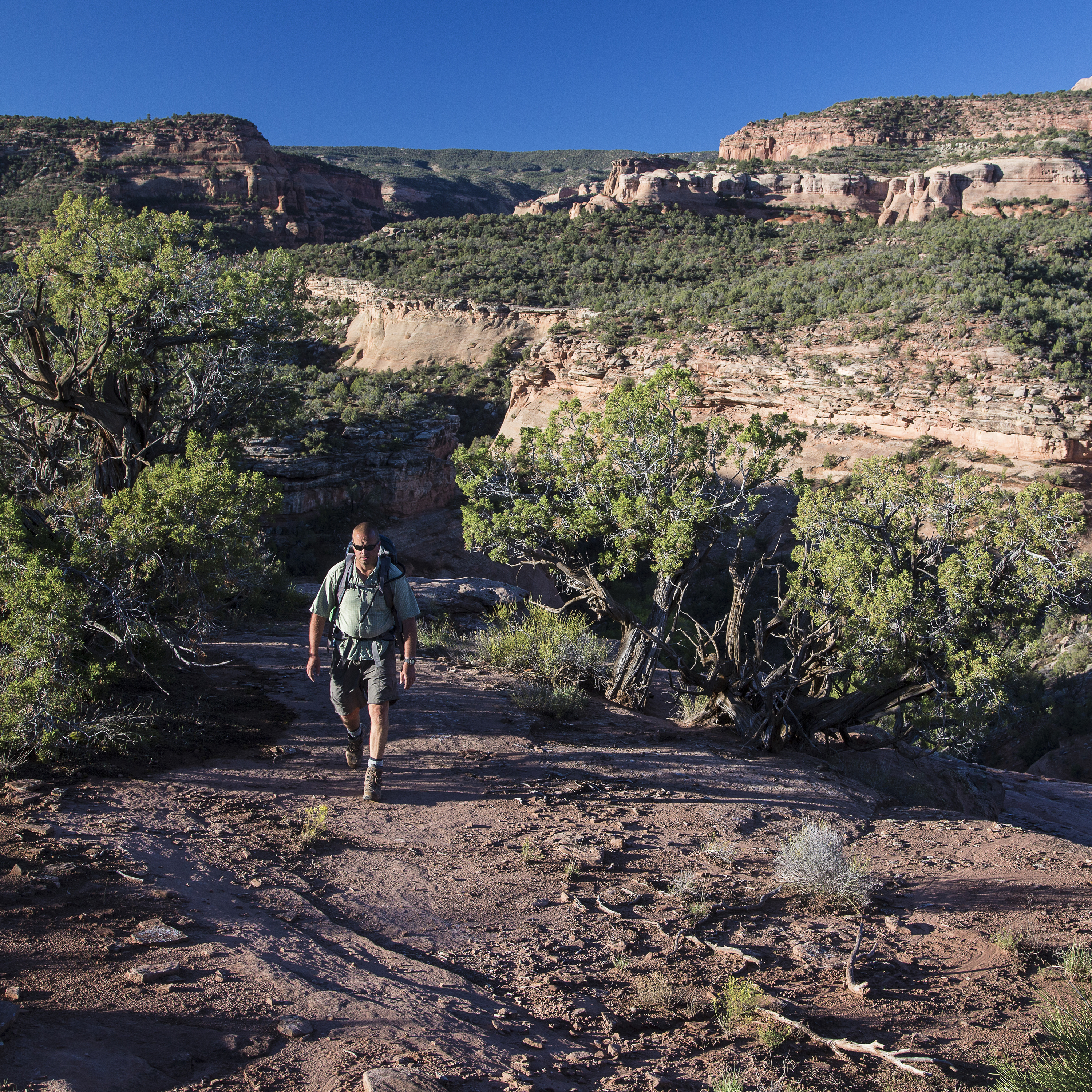 How the BLM relies on the public, computer drawings, and local knowledge to open new lands to recreation episode artwork