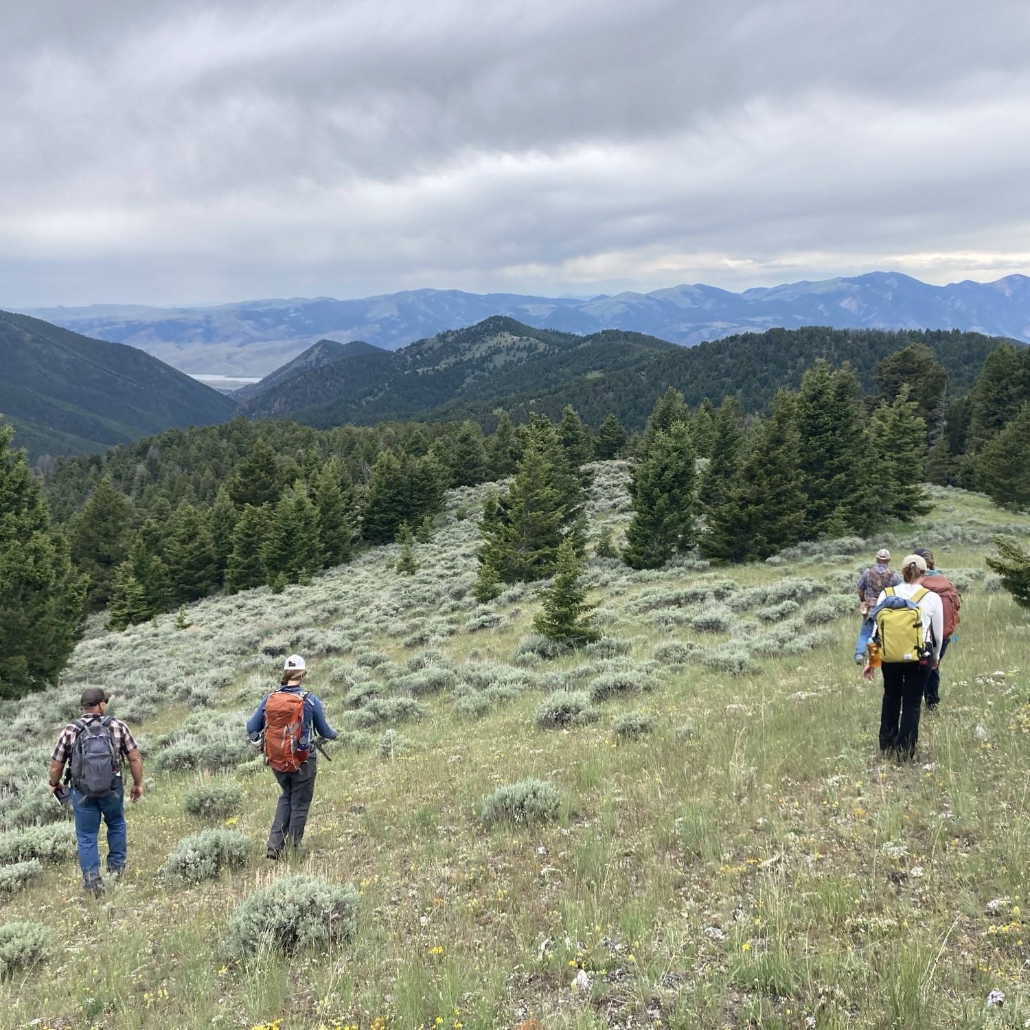 Podcast: Partnership fills skills gaps and creates conversations in Montana episode artwork