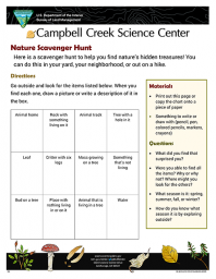 Nature Scavenger Hunt Activity sheet