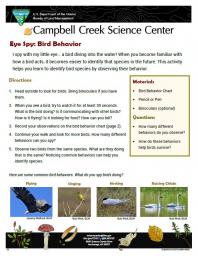 Eye Spy Bird Behavior Nature Learning Activity Sheet