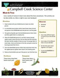 Meet a Tree Nature Learning Activity sheet