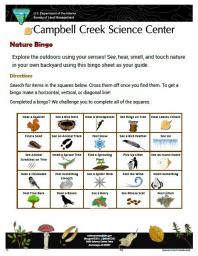 Nature Bingo Nature Learning Activity sheet