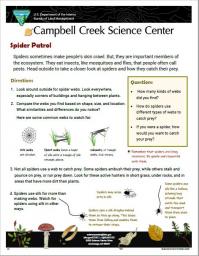 Spider Patrol Nature Learning Activity Sheet