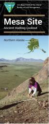 Mesa Site Brochure cover