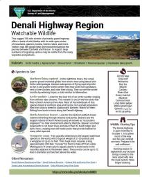 Denali Highway Watchable Wildlife Sheet