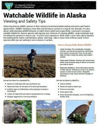  Watchable Wildlife in Alaska Viewing and Safety Tips Sheet
