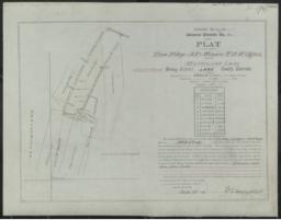 Mineral Survey Plat