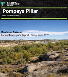 Cover photo for the 2020 Managers Report for Pompeys Pillar National Monument. View from the top of Pompeys Pillar showing the river, rocky cliffs, and trees.