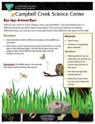 Eye Spy: Animal Eyes Nature Learning Activity Sheet