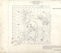 Bisbee, Arizona Survey Plat