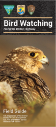 Front cover of brochure. Image of gyrfalcon perched on rocks.