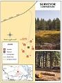 thumbnail of map showing Surveyor Campground and photos of campsite with picnic tables and trees