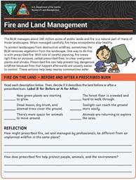 Junior Ranger Activity Sheets - Fire and Land Management